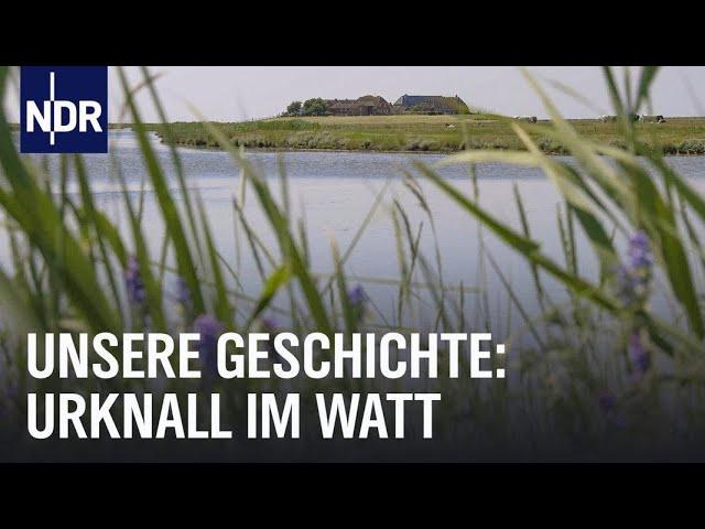 Wattenmeer: Als die Umwelt wichtig wurde | Unsere Geschichte | NDR Doku