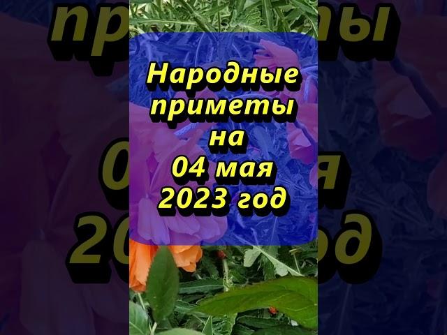 Народные приметы на 4 мая 2023 года