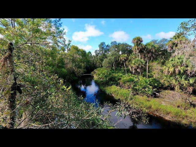 Preserve Florida's Wetlands