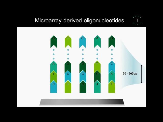 Custom CRISPR Screening Libraries WEBINAR