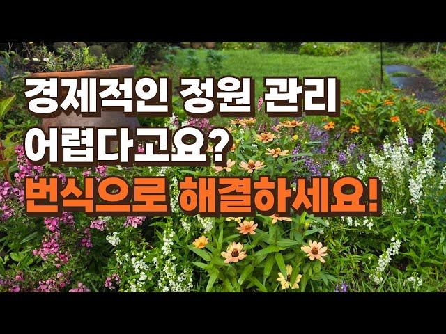 경제적인 정원 관리를 위한 식물 번식 방법 4가지