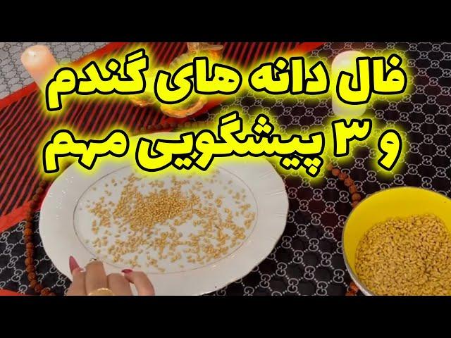 بانو فال - فال دانه های گندم و۳ پیشگویی مهم آموزش چند راه کار جادویی و کاربردی