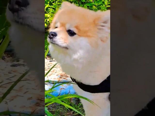 장마를 준비하는 자세날아라 슈퍼보드~ 달콤한 나의 도시️ 더 열정적으로 킁킁킁