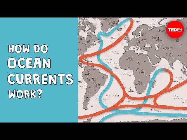 How do ocean currents work? - Jennifer Verduin