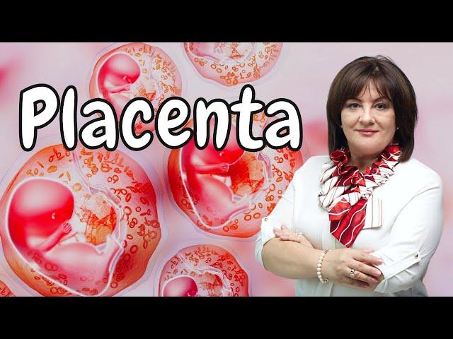 Placenta and its functions #doctorberezovska #placenta #pregnancy #olenaberezovska #womenshealth