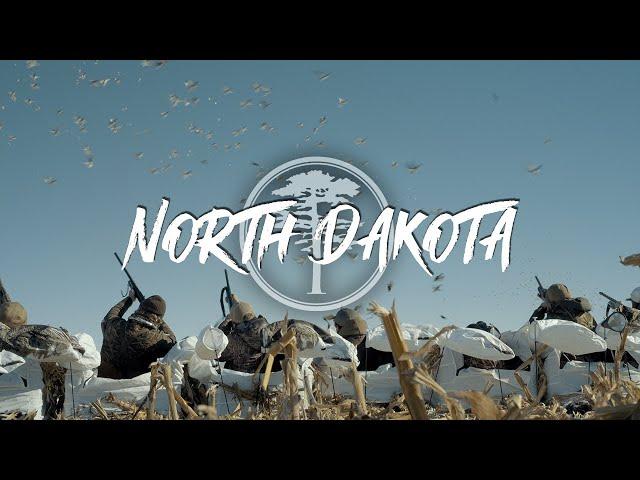 Duck Hunting- North Dakota (THOUSANDS of ducks after a snow storm)