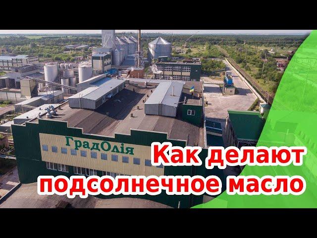 Как делают подсолнечное масло: завод «ГрадОлия» за 2 минуты