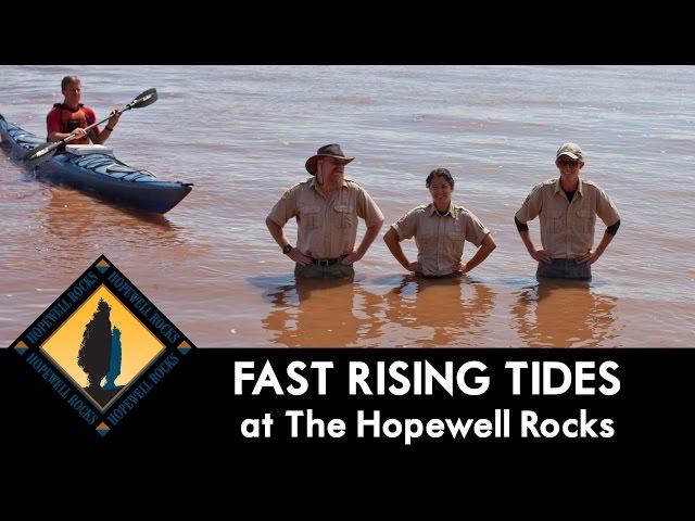 Fast Rising Tide at The Hopewell Rocks