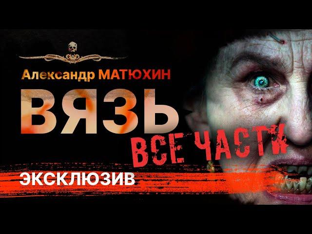 ВЯЗЬ - все части! Истории про ведьм и колдовство