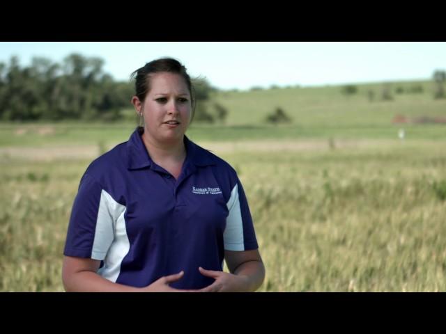 Kansas State University: What is Agronomy?