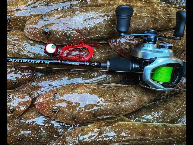 CATCH Flathead On Shimano's Baku Baku Jigs!