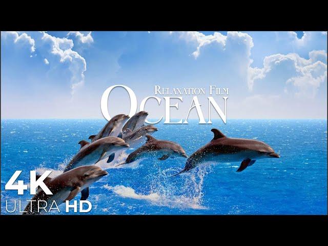 The Ocean 4K - Relaxation Film - Peaceful Relaxing Music - 4k Video UltraHD