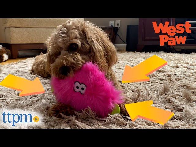 Puppies Review Squeaky Dog Toys From West Paw Dog Toys! | TTPM Pet Reviews