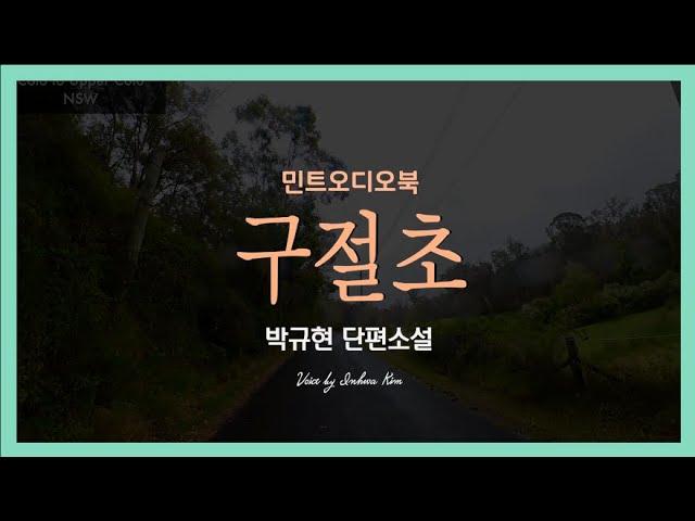 가을 여인이라는 별명의 구절초, 꽃말이 '순수'라지... 박규현 단편소설 - 구절초