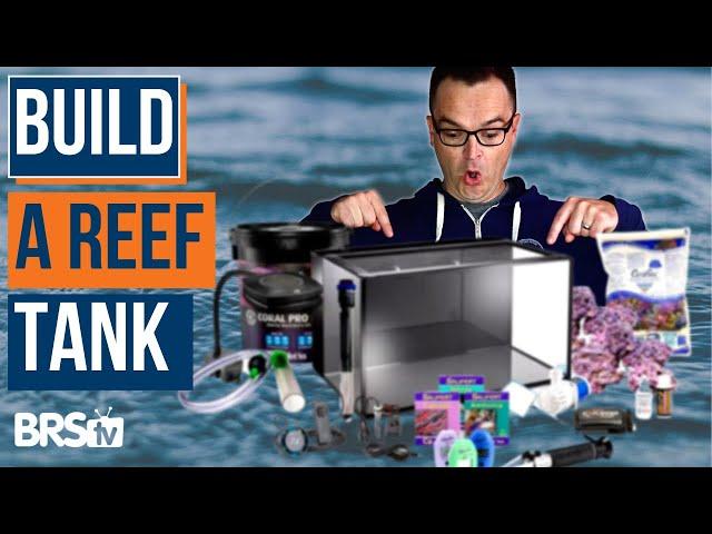 SIMPLE Saltwater Aquarium Builds for Beginners? EP: 8