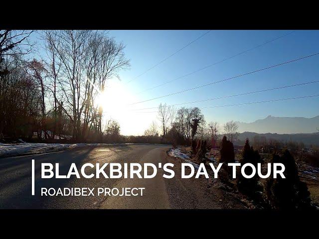 BLACKBIRD'S DAY TOUR (Easy winter ride in Valbelluna) - Virtual ride for indoor cycling