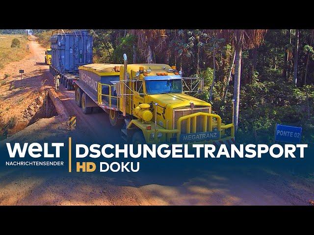 Schwertransport im brasilianischen Dschungel | HD Doku