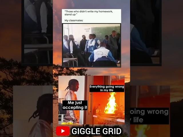 Everything going wrong #funny #meme