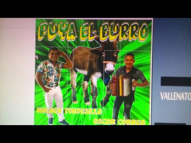 Carlos gomez Plata   Puyo el burro