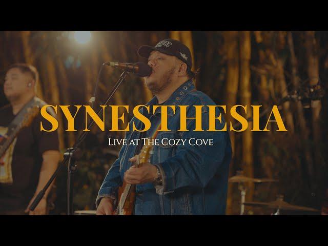 Synesthesia (Live at The Cozy Cove) -Mayonnaise