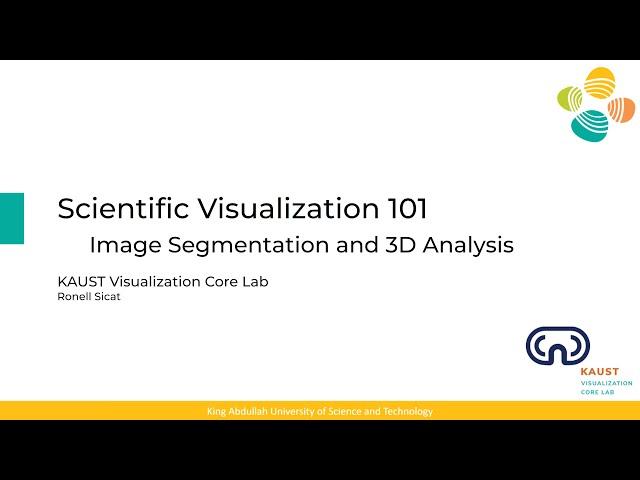 Scientific Visualization 101: Introduction to Image Segmentation and 3D Analysis