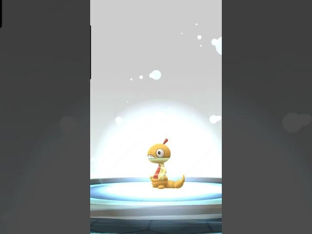 #pokemongo #scraggy #scrafty