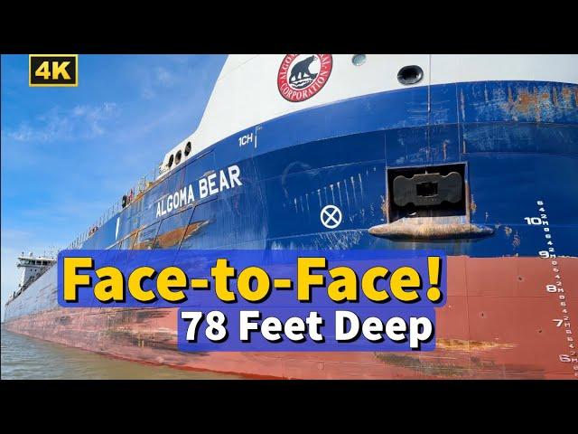 ️ 78 Feet Deep: Face to Face With a Floating Giant!