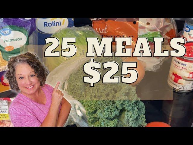 25 MEALS FOR $25 || EXTREME BUDGET MEALS || CHEAP MEALS #budgetfriendly #frugalliving #mealplan