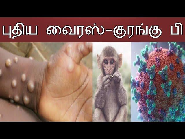 புதிய வைரஸ்-குரங்கு பி   | Thagaval Kalam