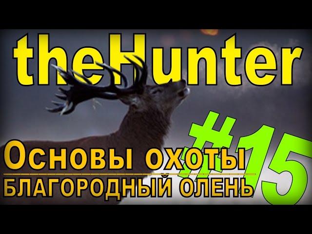 the Hunter - Благородный олень [Основы охоты] #15