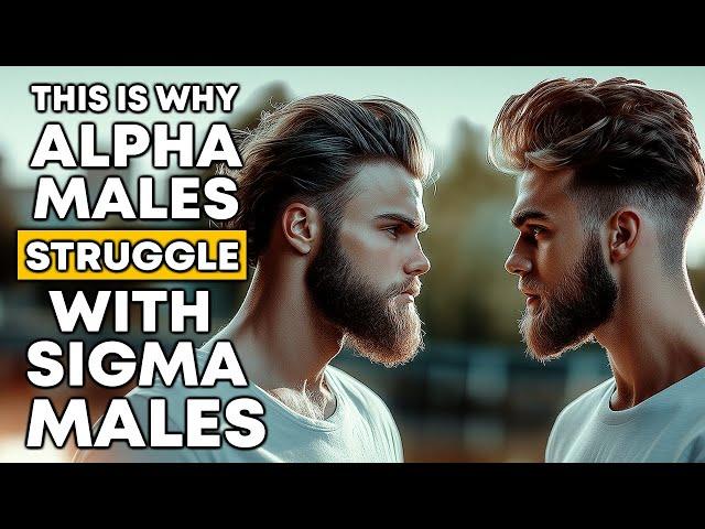 Why Alpha Males Struggle with Sigma Males