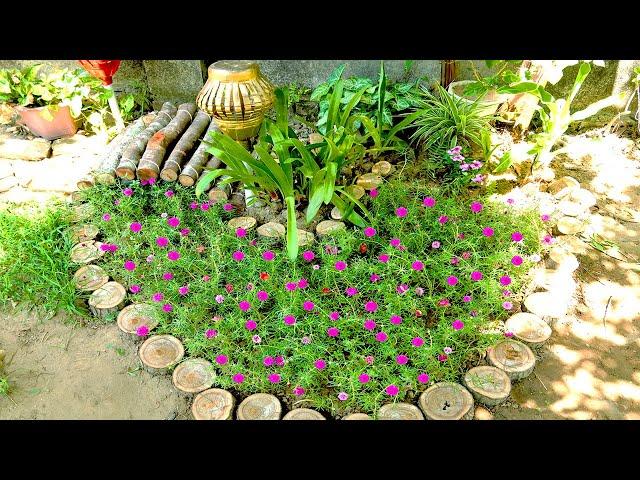 Gardening Ideas are extremely intelligent and creative | TEO Garden