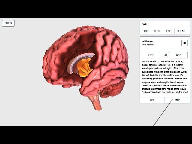 How To: BioDigital Human zSpace