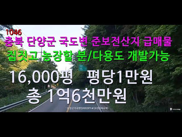 [번호 1046}충북 단양군 국도변 준보전산지 평당1만원