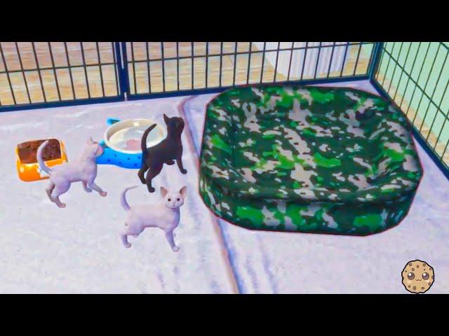 Adopt New Baby Kittens in Animal Shelter Cat Sim Nursery