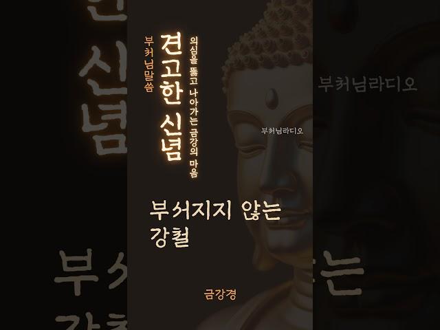 견고한 신념 | 금강경 | 의심을 뚫고 나아가는 금강의 마음 | 부처님말씀