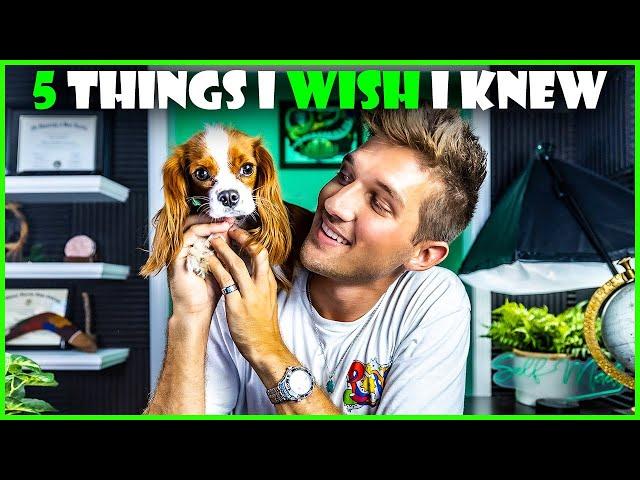 5 THINGS I WISH I KNEW - Before Getting a Cavalier King Charles Spaniel