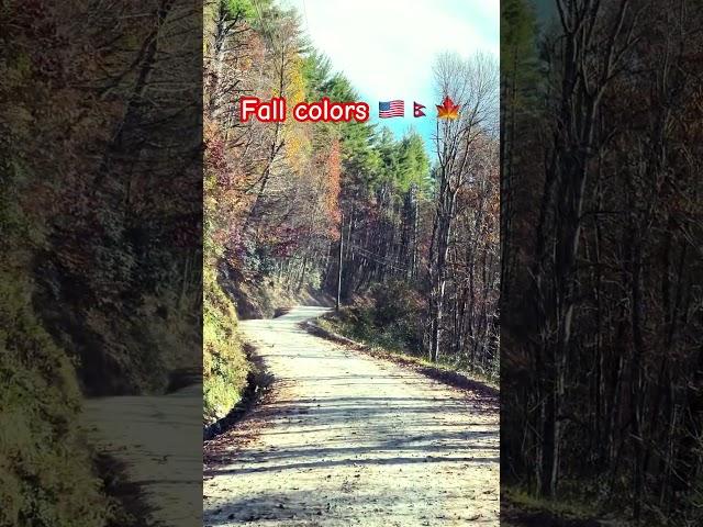 Fall colors #trending #ytfeed #lake #nature #fallcolors #ytshorts #viral