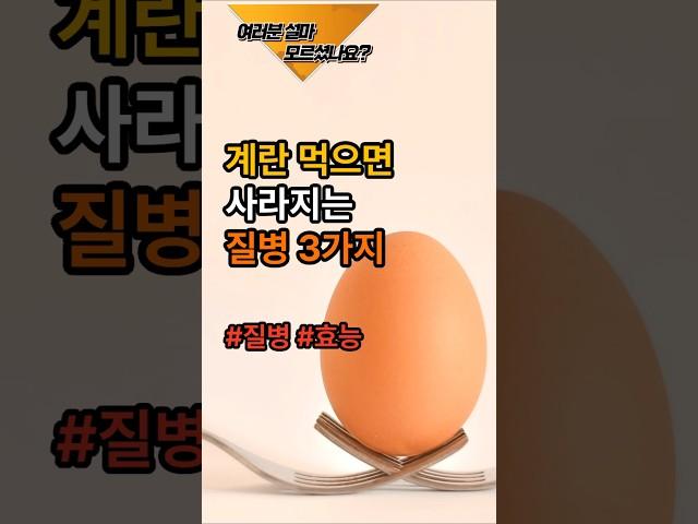 계란 먹으면 사라지는 질병 3가지 #건강 #계란 #효능