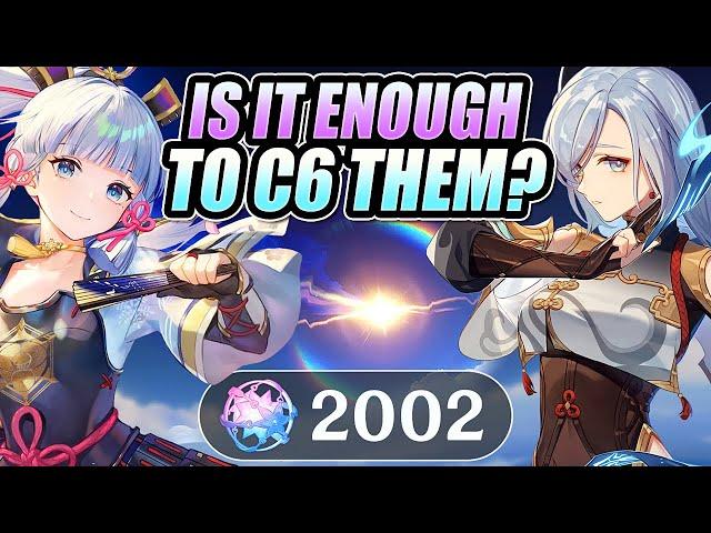 My Viewer Prepared OVER 2000+ SUMMONS For BOTH C6 Ayaka & Shenhe