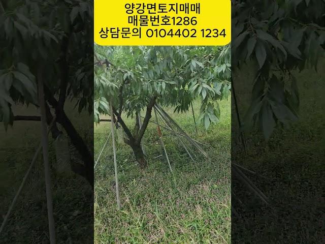 양강면토지매매#토지매매#임야매매#시골주택매매