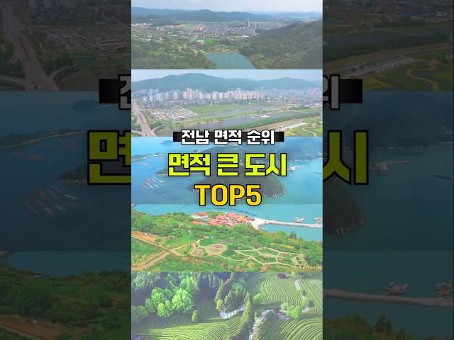 면적이 가장 큰 도시는? #면적순위 #TOP5 #통계 #전남도시순위