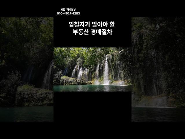 입찰자가 알아야 할 부동산 경매 절차#경매 #경매컨설팅 #투자 #아파트 #부동산경매 #입찰대리#서울아파트 경매