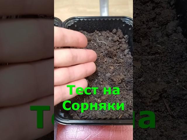 АВ28 тест на сорняки вермикомпост ИП Ткаченко Андрей Сергеевич