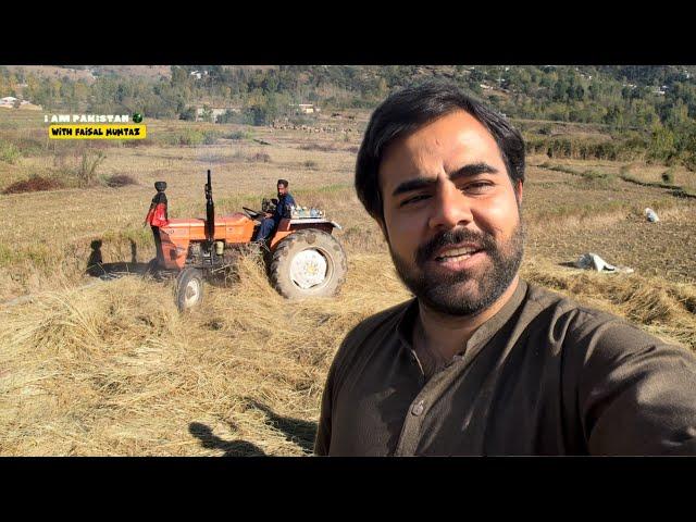 Unveiling the Hidden Treasures: A unique way of farming Pakistani rare rice #mountains