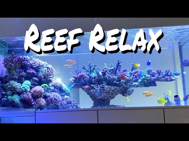 REEF RELAX - aquarium and room design  CHILLOUT - high quality #lofi #aquarium #reeftank #roomdesign