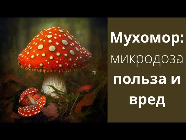 Мухомор: микродозинг, полезен или нет / Mr.GrowChannel