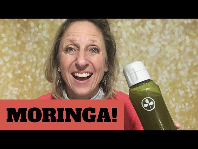 Who Sells Moringa Oleifera? Where you can purchase the best Moringa!