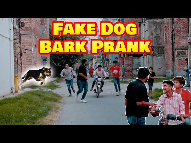 Fake Dog Bark Prank - Sharik Shah