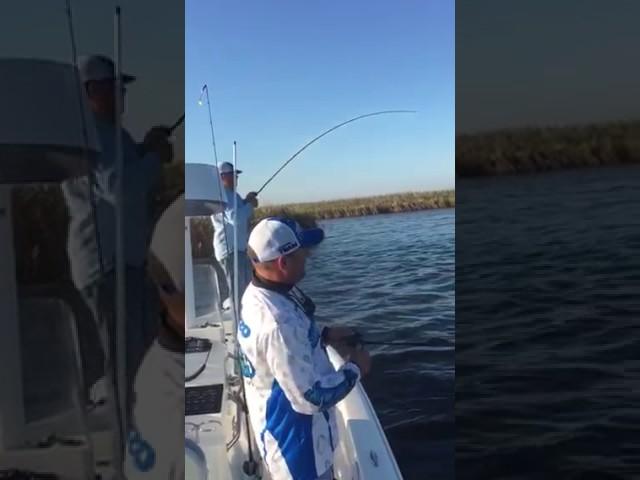 Capt. Anthony Randazzo fishing in South LA